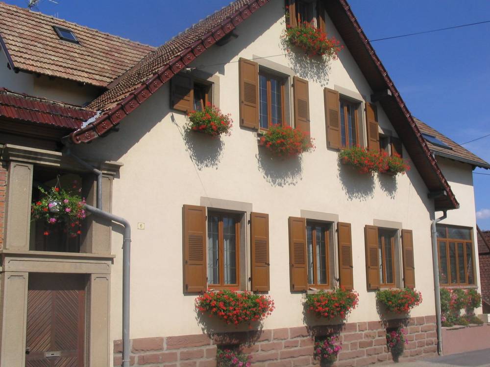 Cour et jardin-3