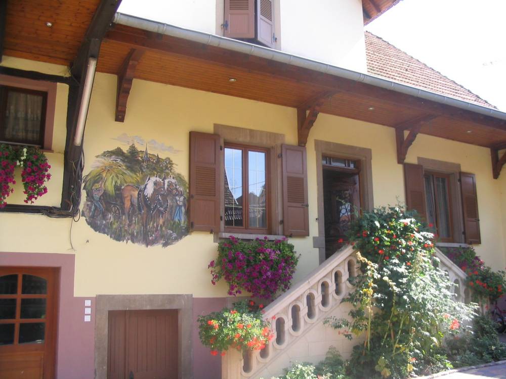 Cour et jardin-4