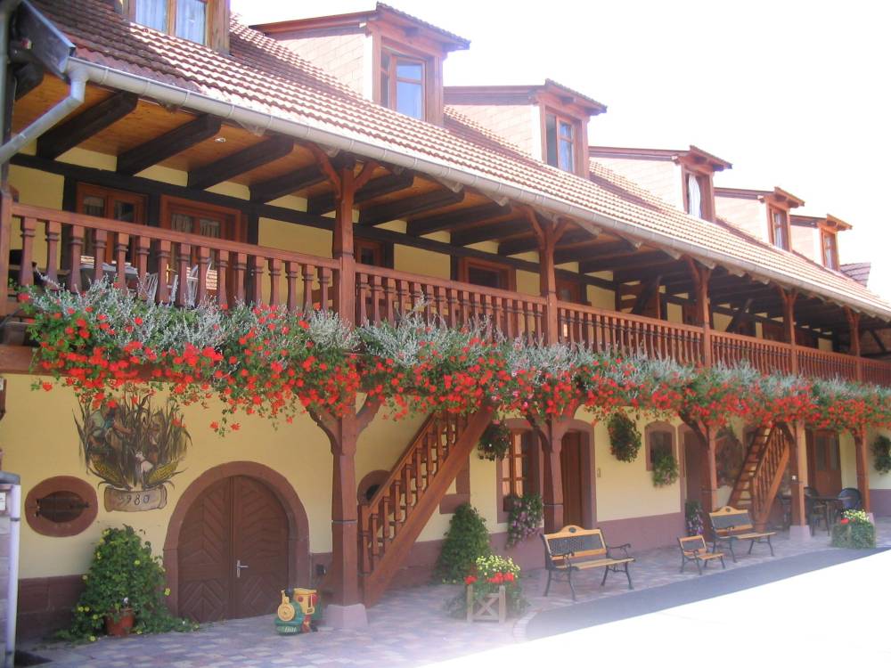 Cour et jardin-6
