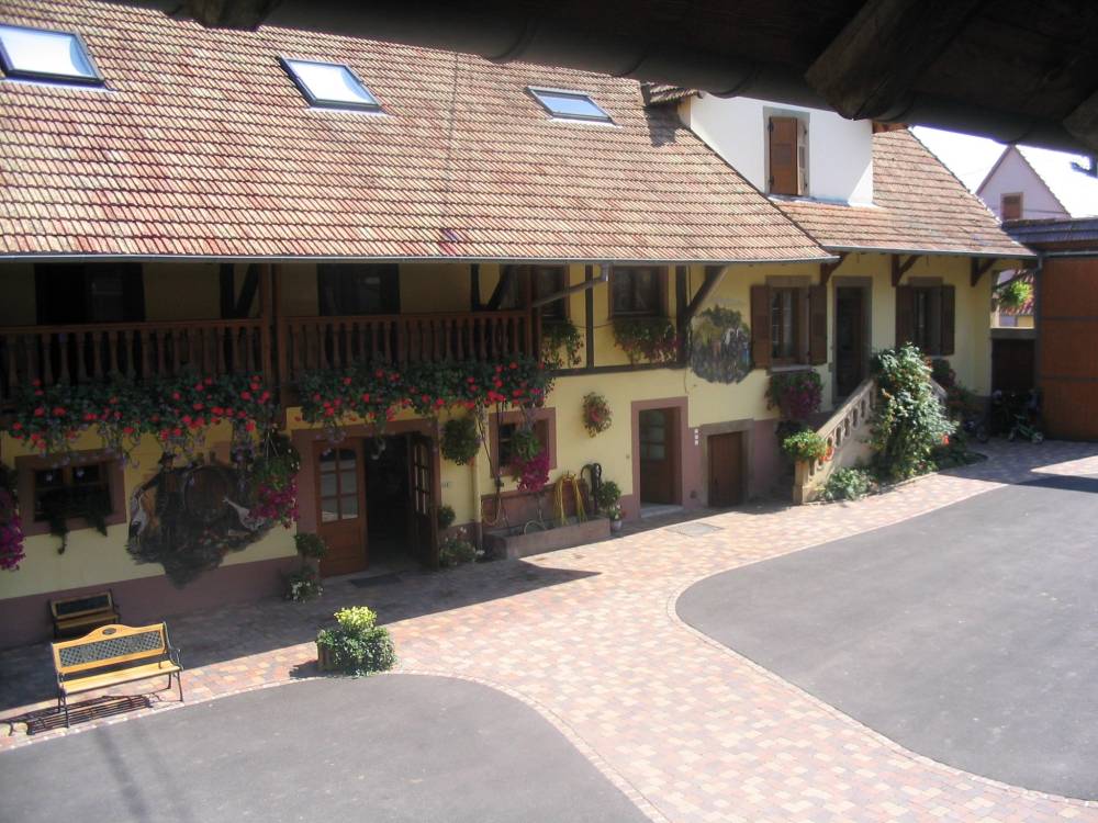 Cour et jardin-10