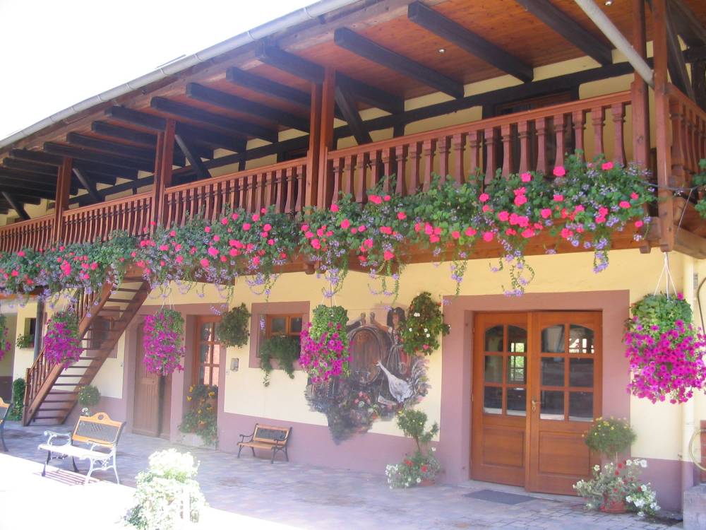 Cour et jardin-11