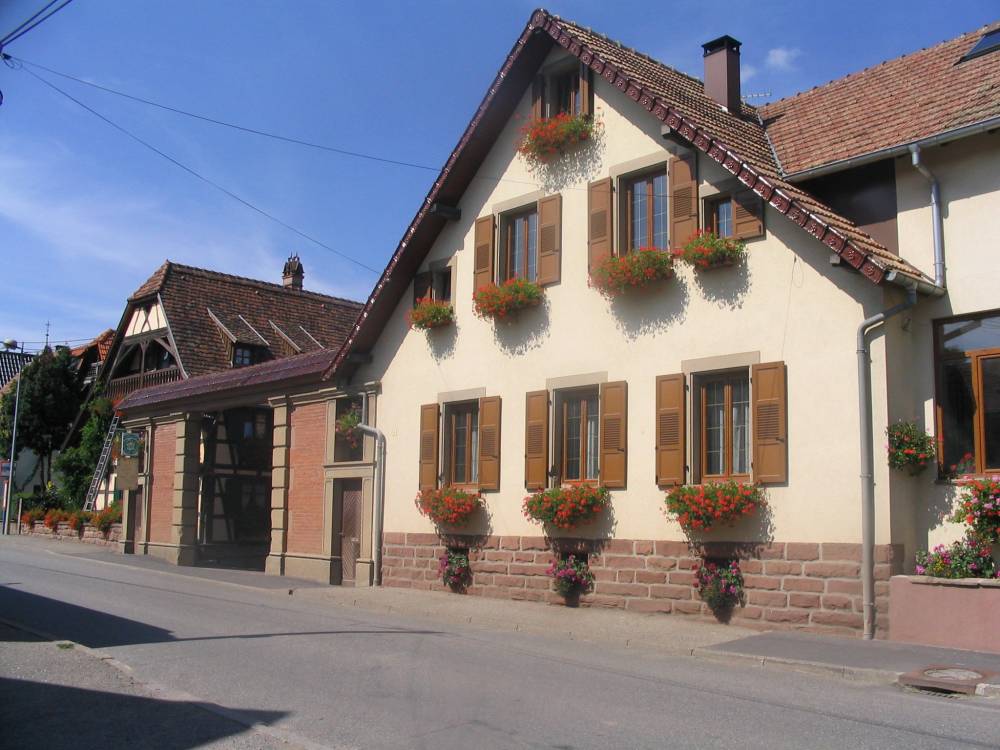 Cour et jardin-1